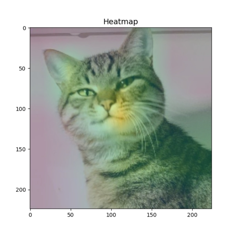 ResNet50 对猫图像生成的 Grad-CAM 热力图
